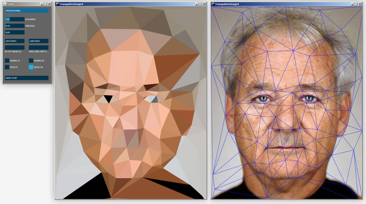 Image Triangulator gallery image