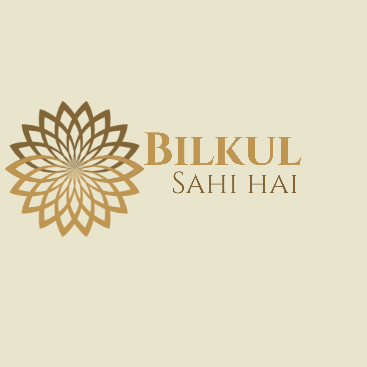 Bilkul Sahi Hai | बिलकुल सही है