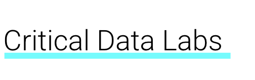 Lab di dati critici - Dati di entrate a livello di segmento media 3