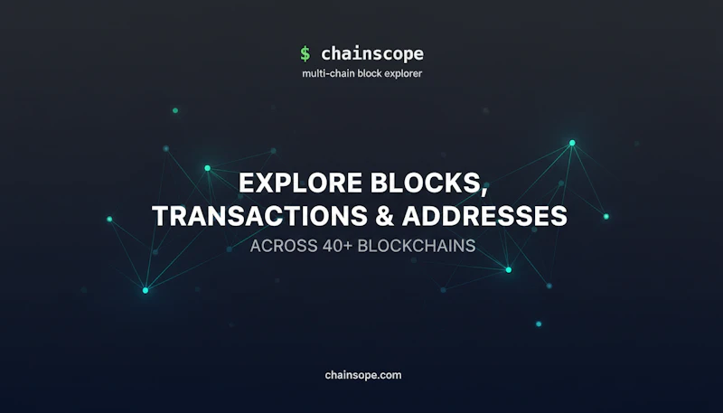 ChainScope screenshot 2