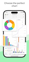 Okanemochi - Cash Flow Tracker gallery image