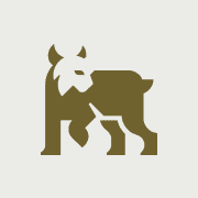 Lince Finance 