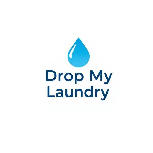 DropMyLaundry.com - Product Hunt launch logo and brand identity