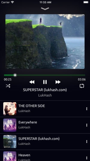 Music Downloader & Player gallery image