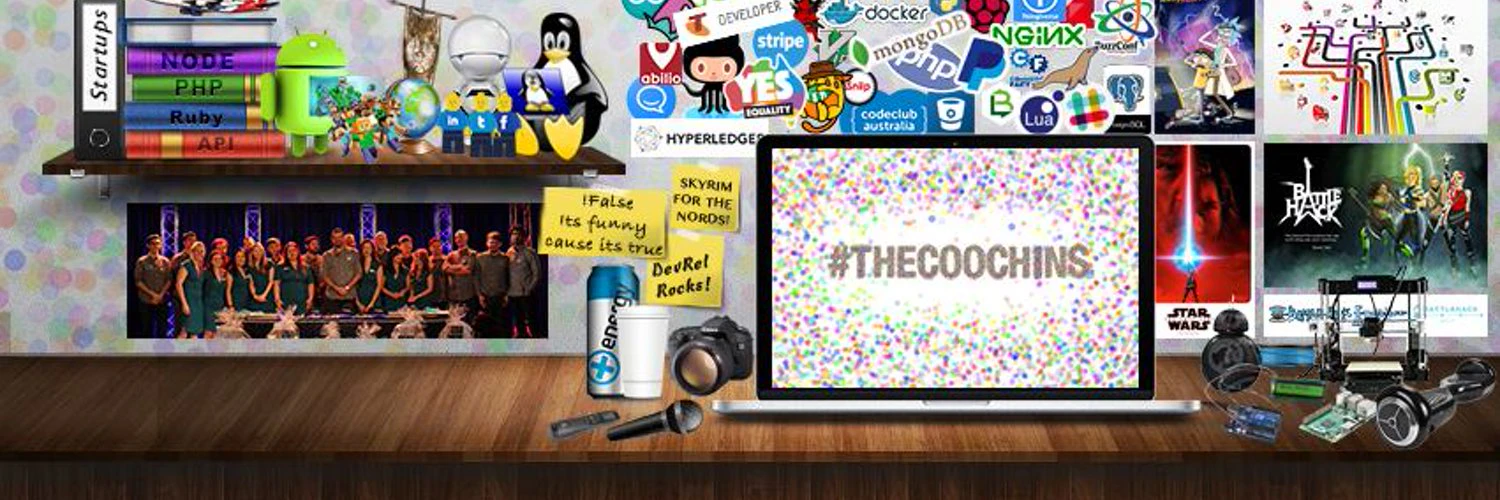 Developer Steve cover