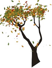 GraphicsJS gallery image