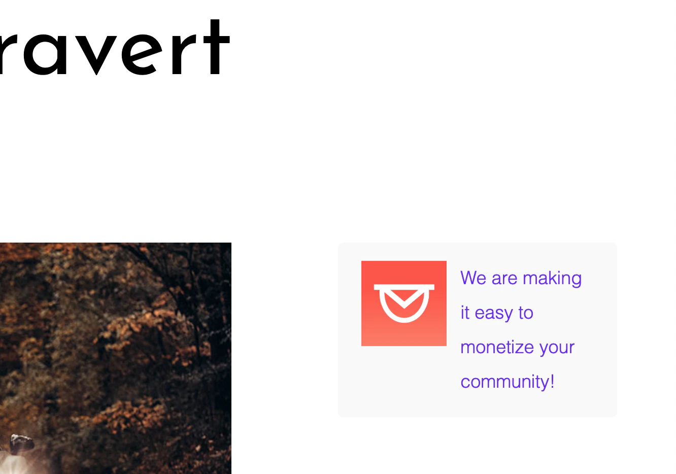Intravert Image