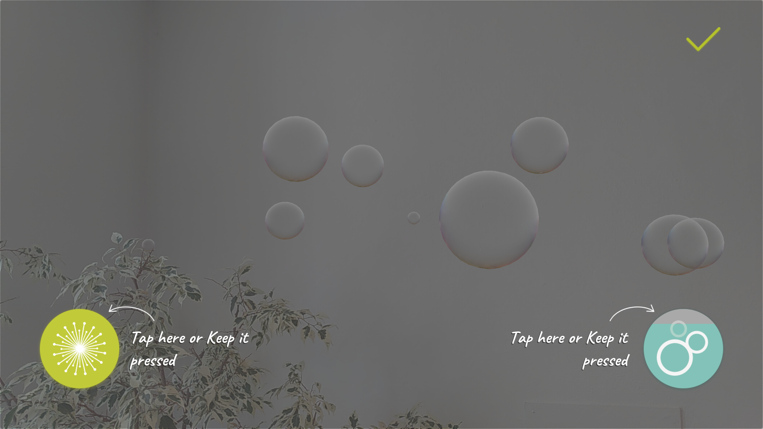 Bubbles gallery image