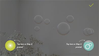 Bubbles gallery image