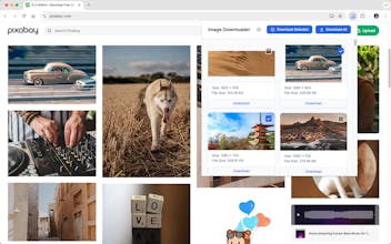 Image Downloader gallery image
