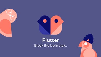 Flutter gallery image