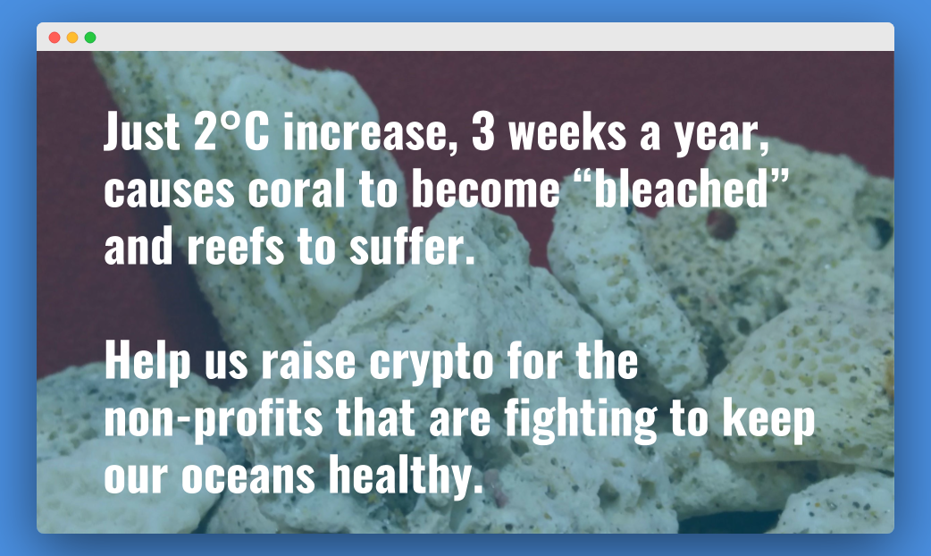 Crypto Reef gallery image