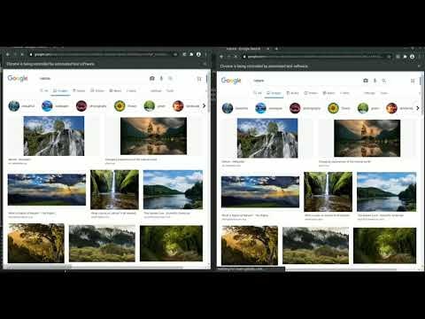 Testorzo gallery image