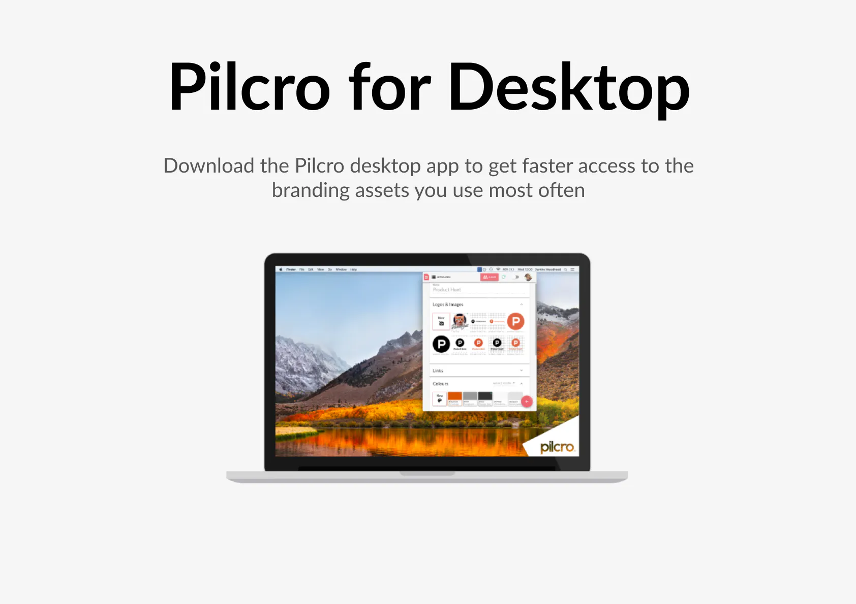 Pilcro Image