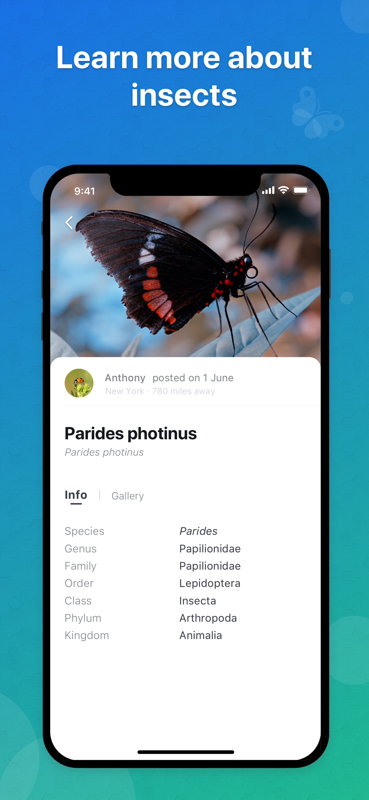 Picture Insect gallery image