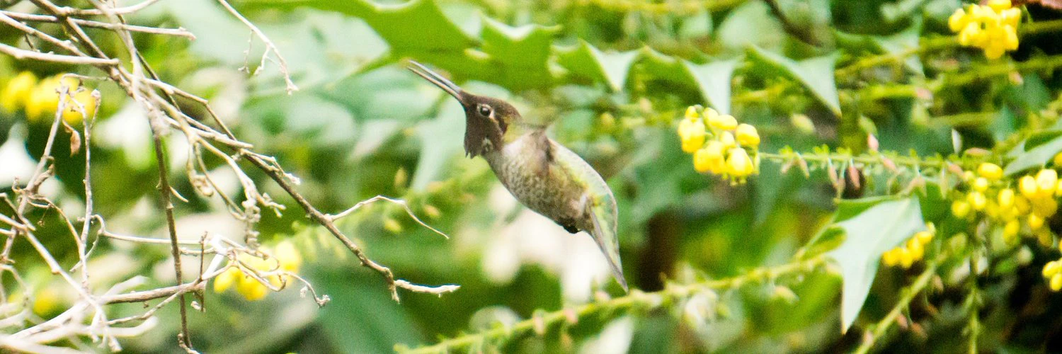 Glenn Fleishman cover