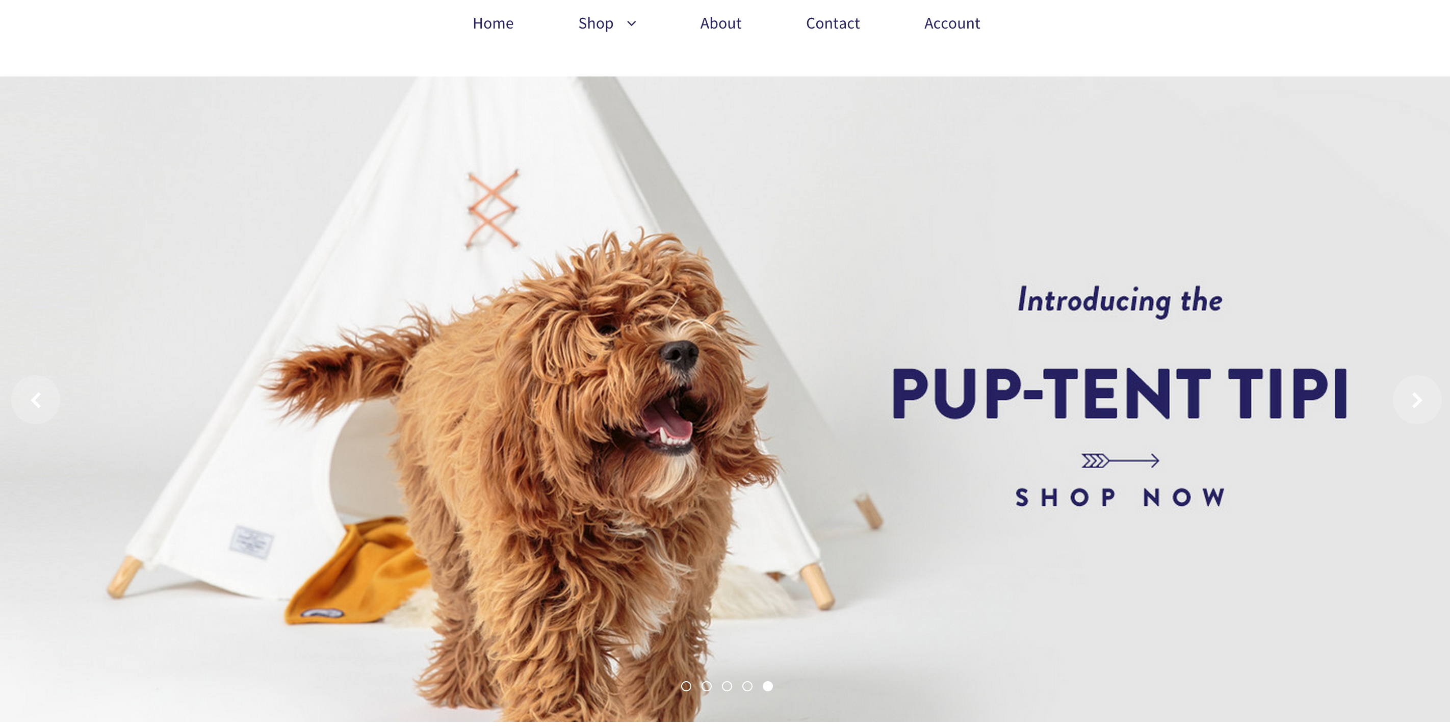 Camp Cloon gallery image