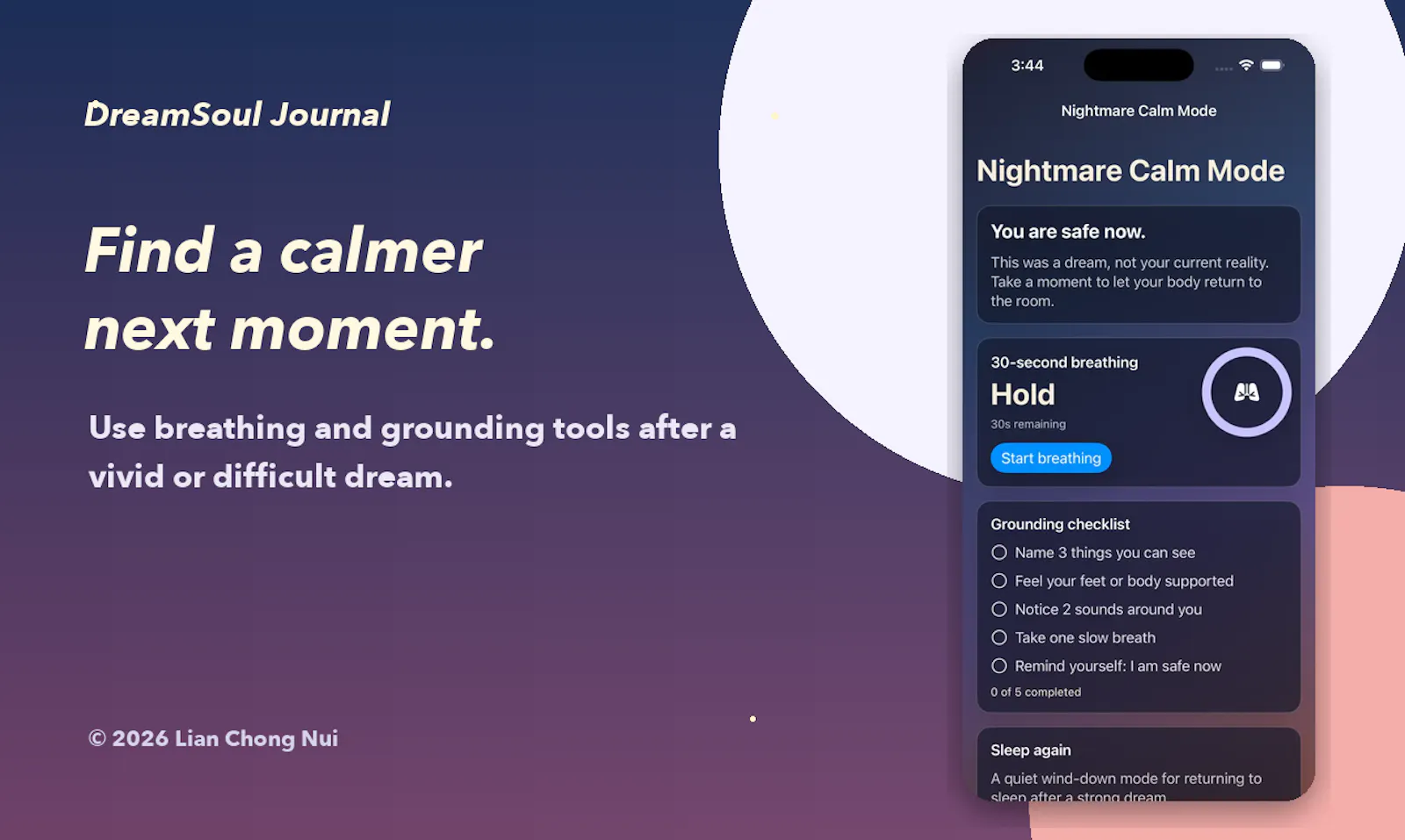 DreamSoul Journal screenshot 3