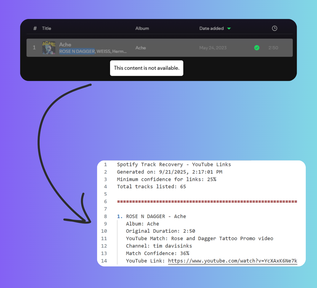 SpotRec screenshot 2