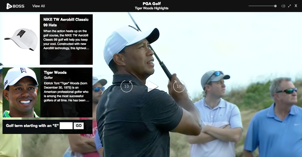 Boss Video Player gallery image