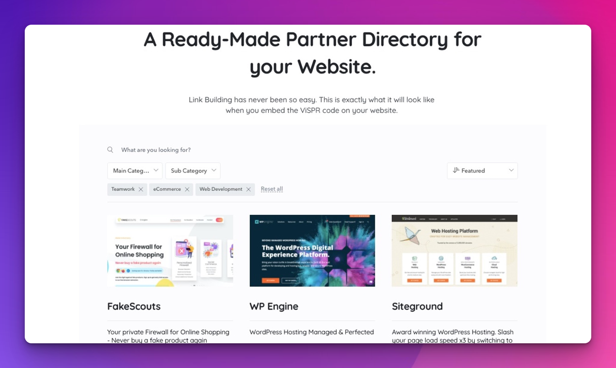 ViSPR SEO Partner Network media 5