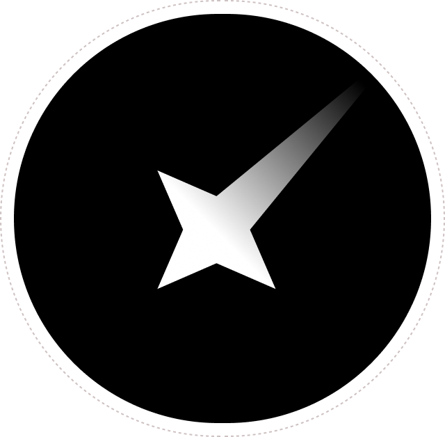 Precious UX logo