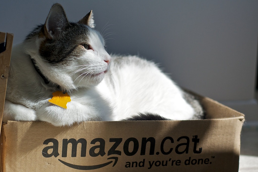 Catsnatcher gallery image