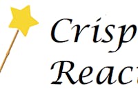 Crisp React media 1