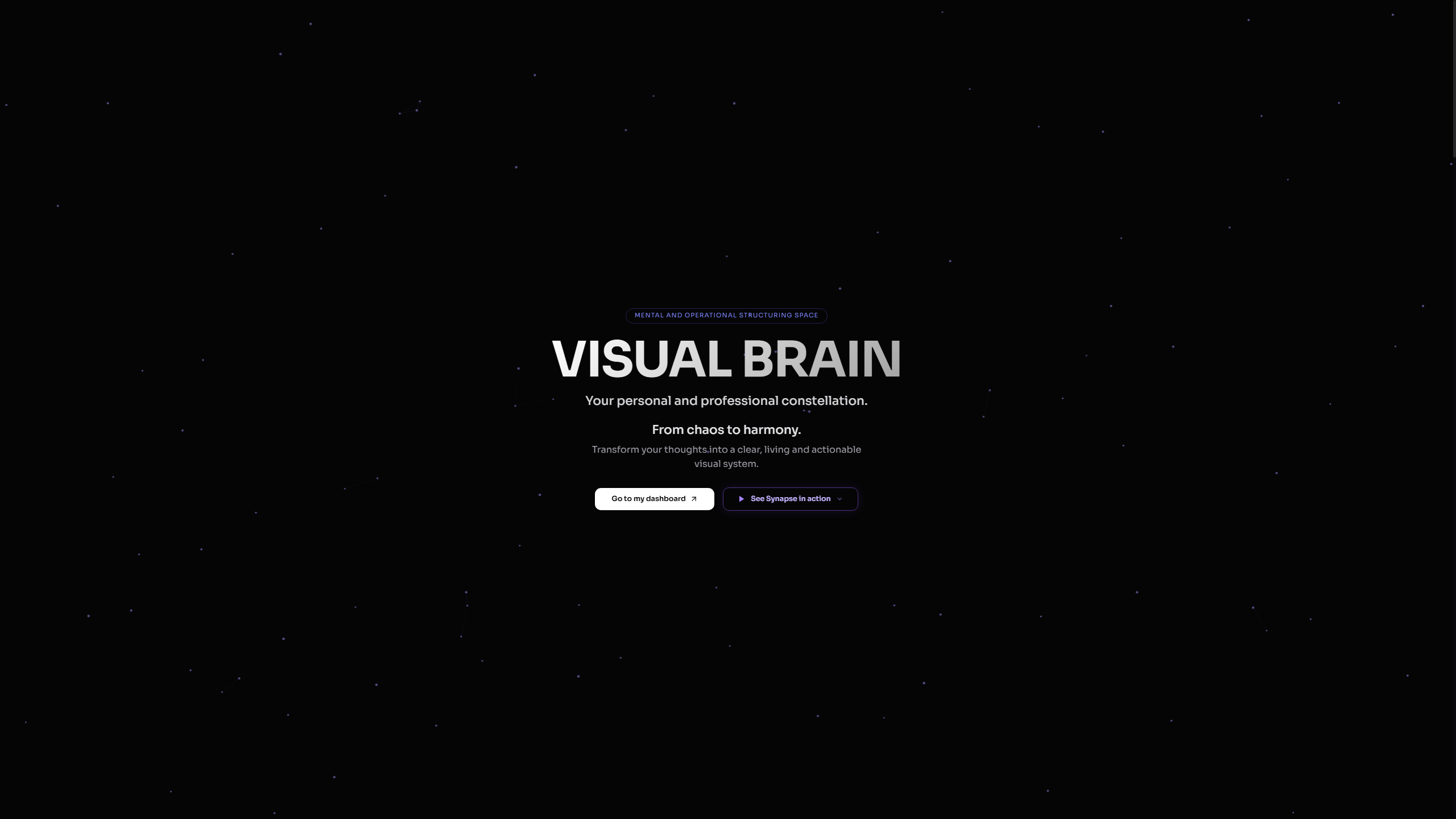 Visual Brain gallery image