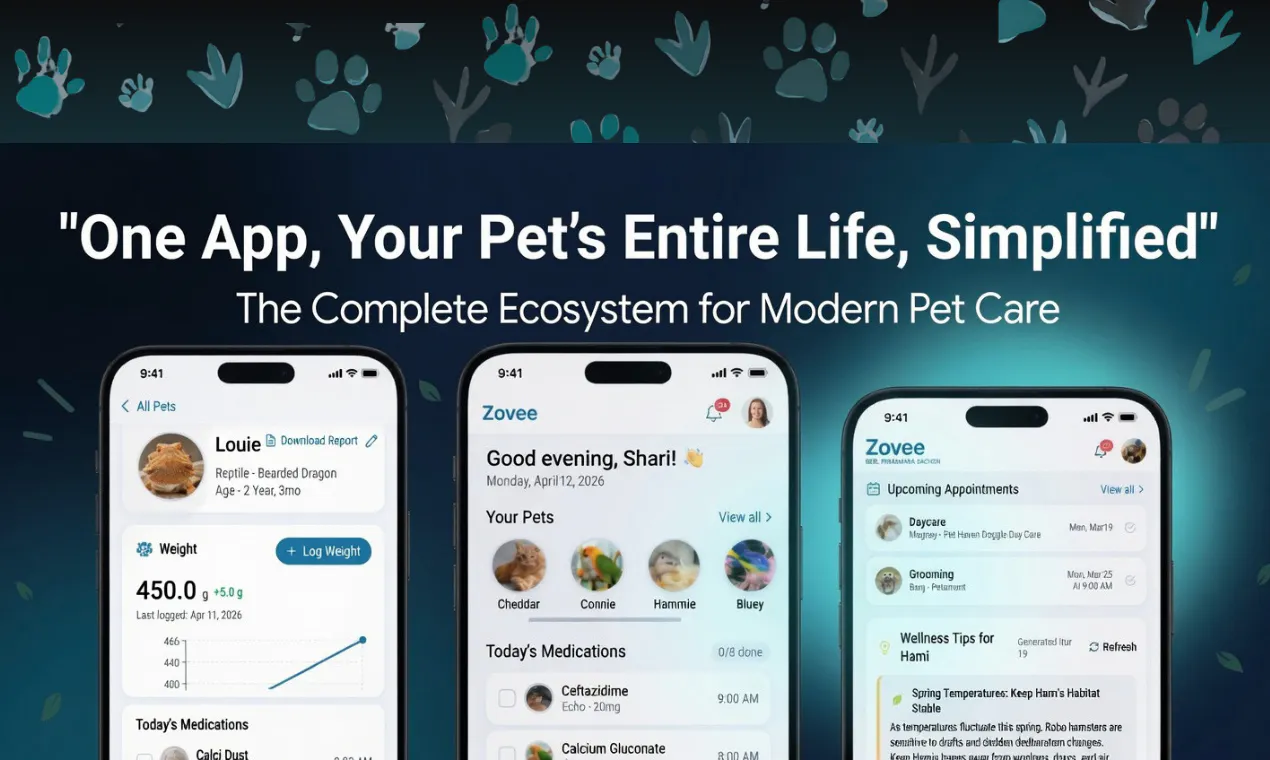 Zovee screenshot