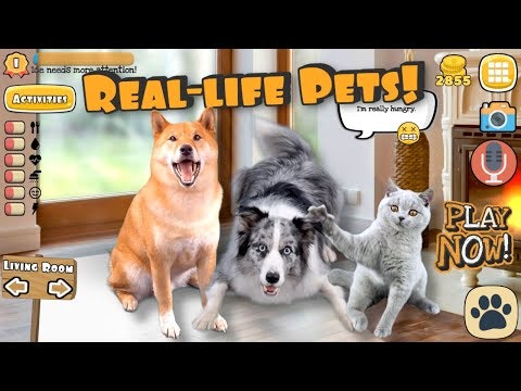 Real Pets by Fruwee gallery image