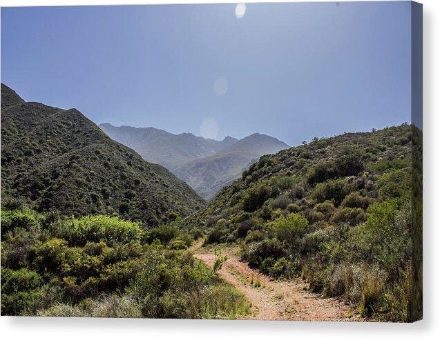 City Meets Sea gallery image