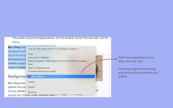 Quiver - Snippet Manager & Text Expander gallery image