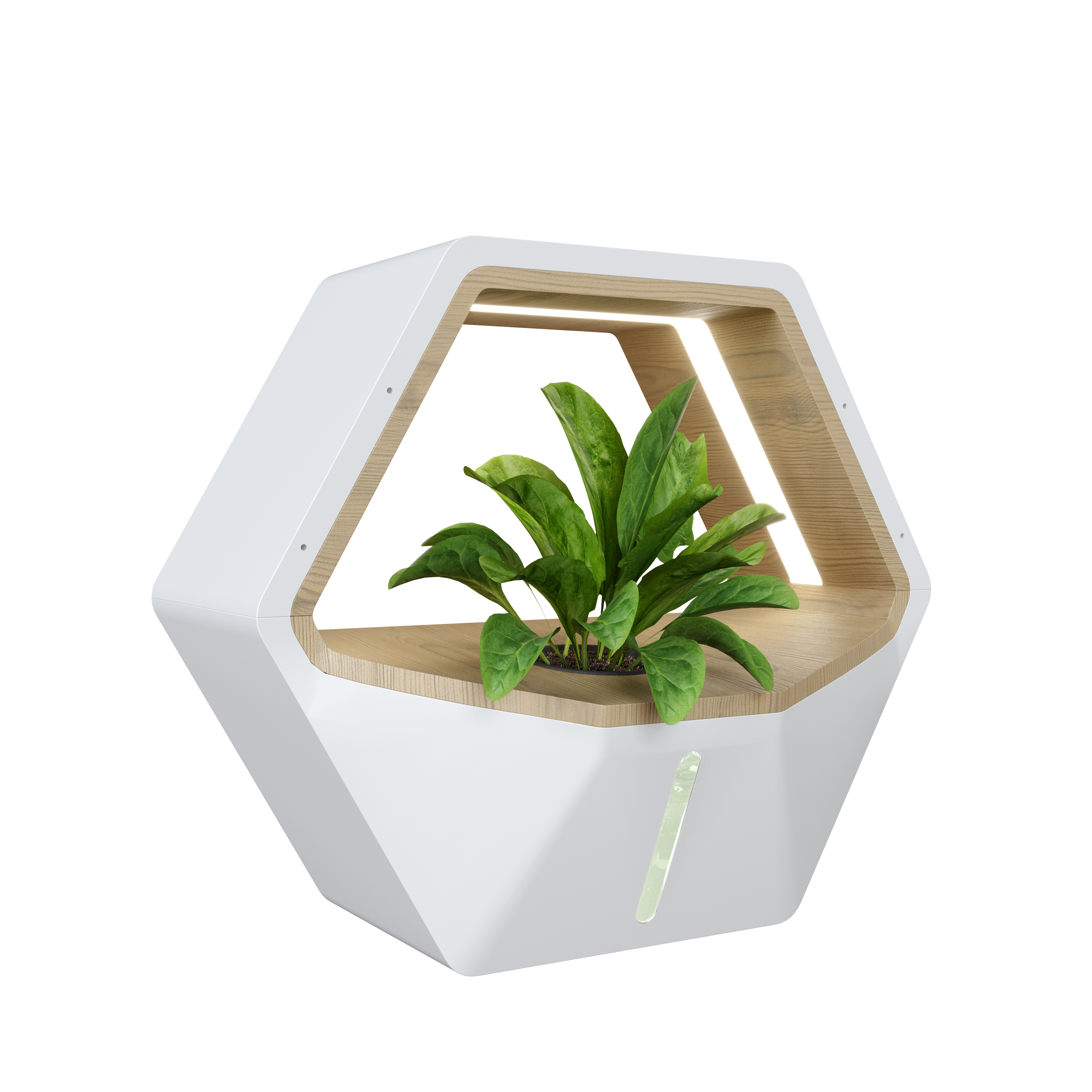 Bee Leaf Planter gallery image