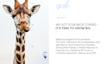 Girafi image