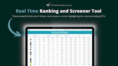 Whale Analytica gallery image