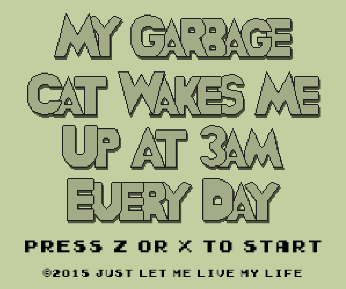 My Garbage Cat Wakes me Up at 3am Every Day gallery image