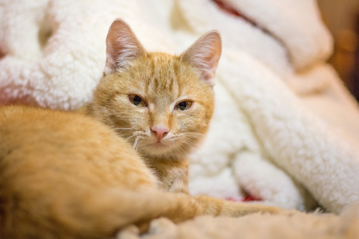 Realgraphy.org gallery image