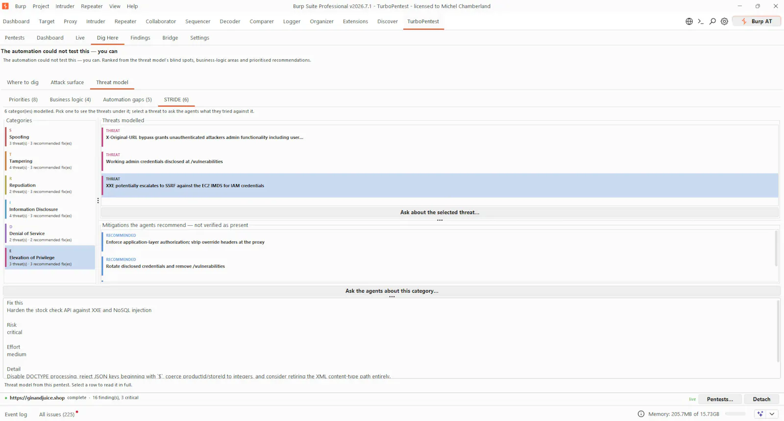 TurboPentest screenshot 17