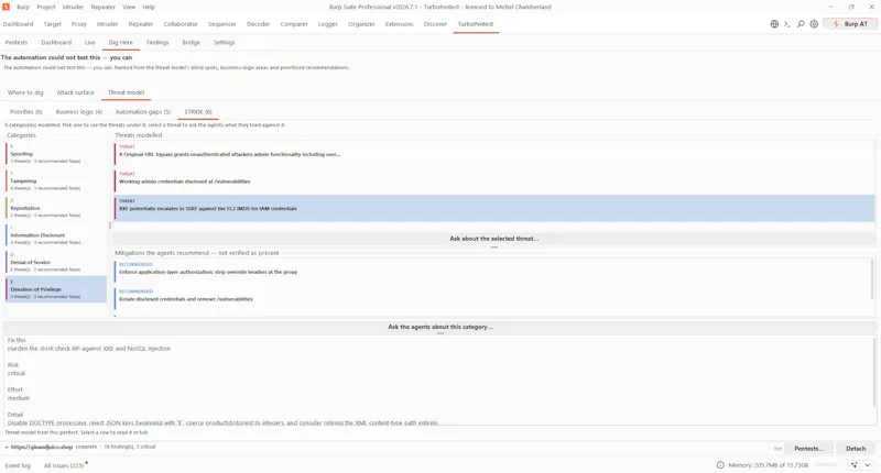 TurboPentest screenshot 17
