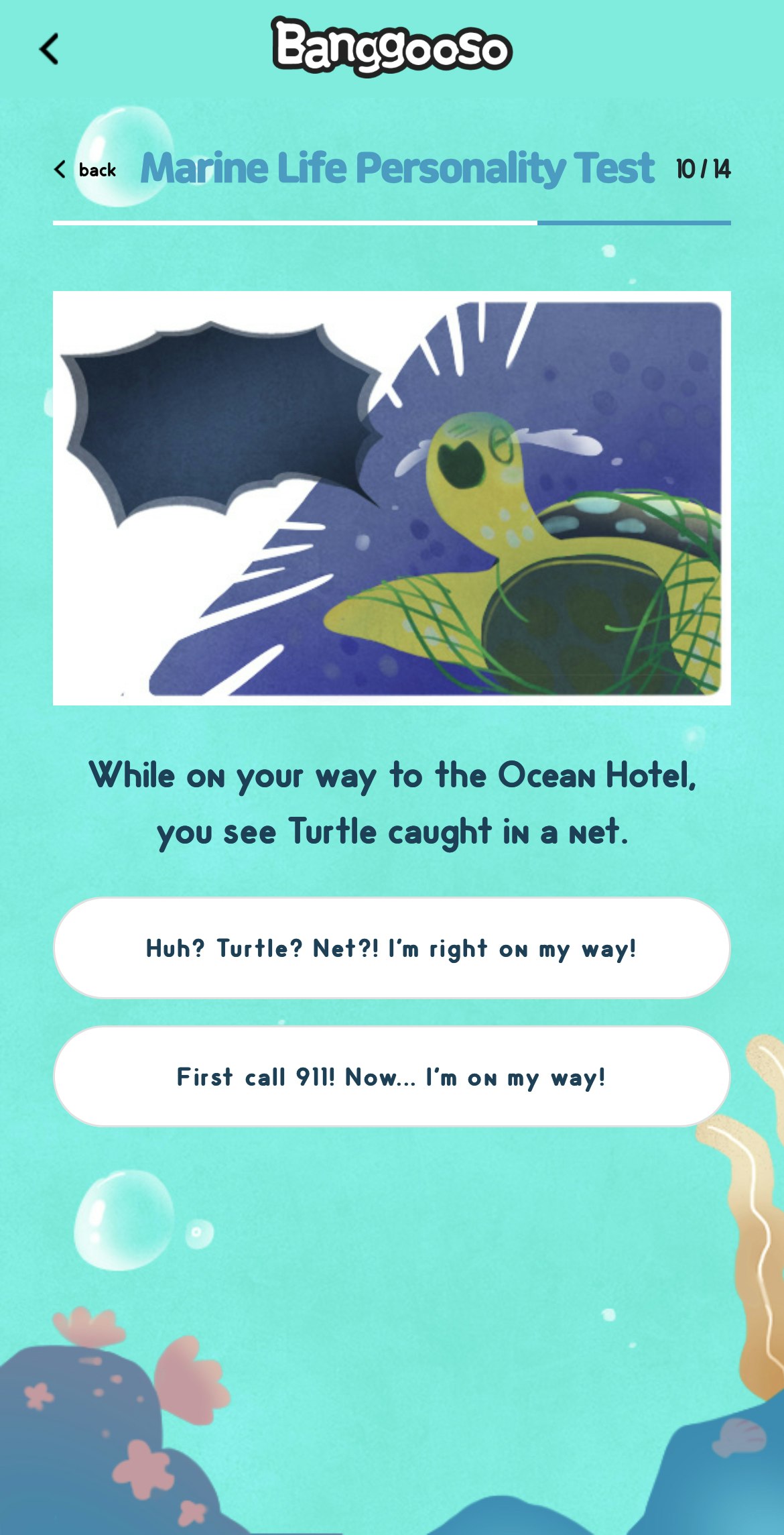 Marine Life Personality test media 3