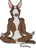 Zen Dog Training