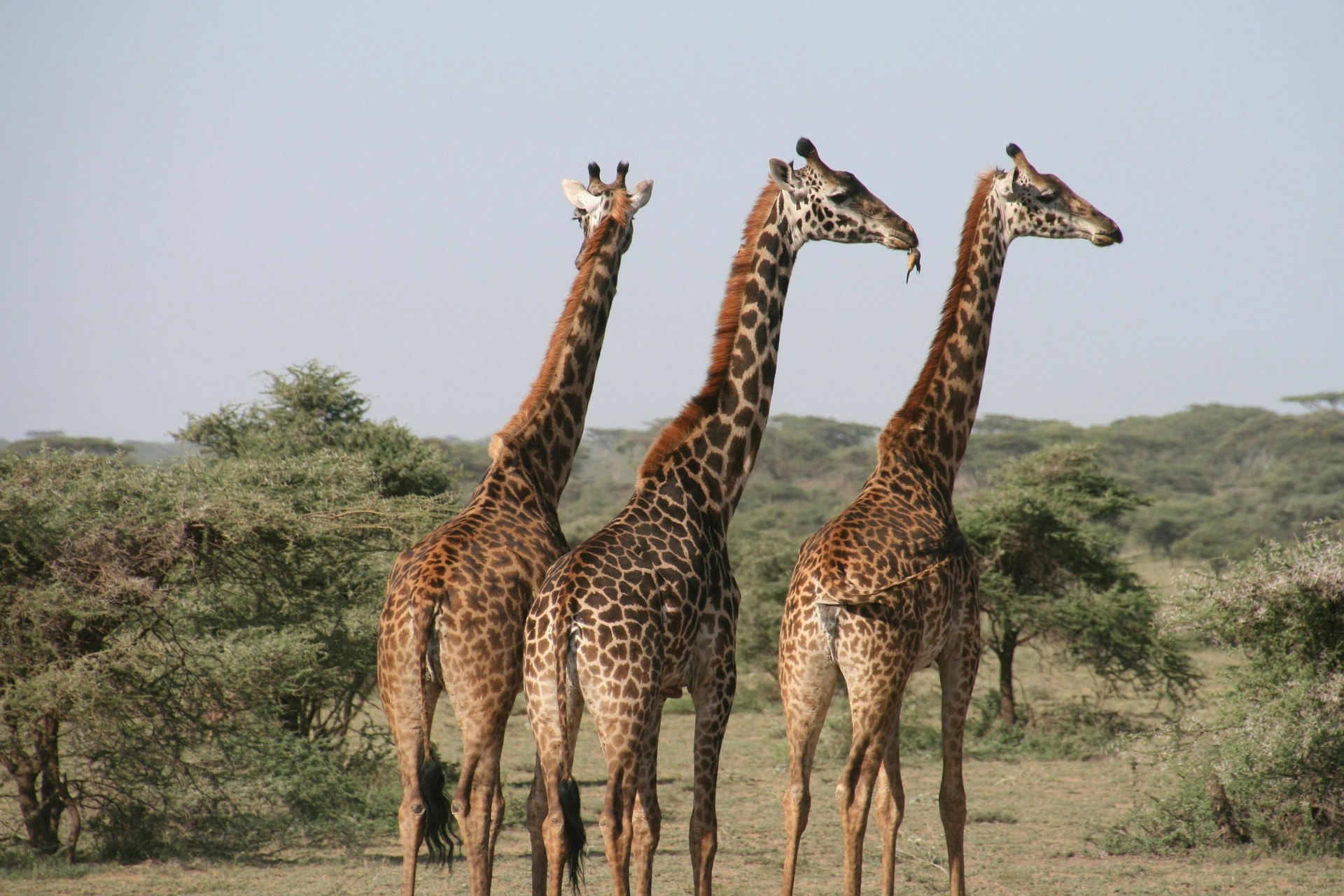 Live Online Virtual Tours of the World gallery image