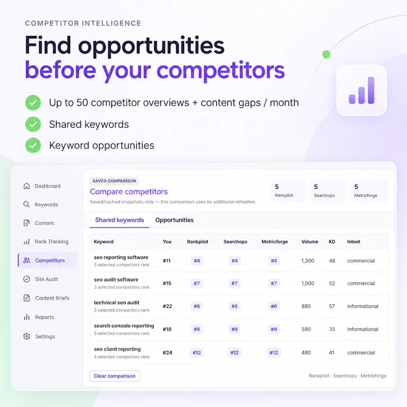 ActionSEO Audit & Report Tool screenshot 12