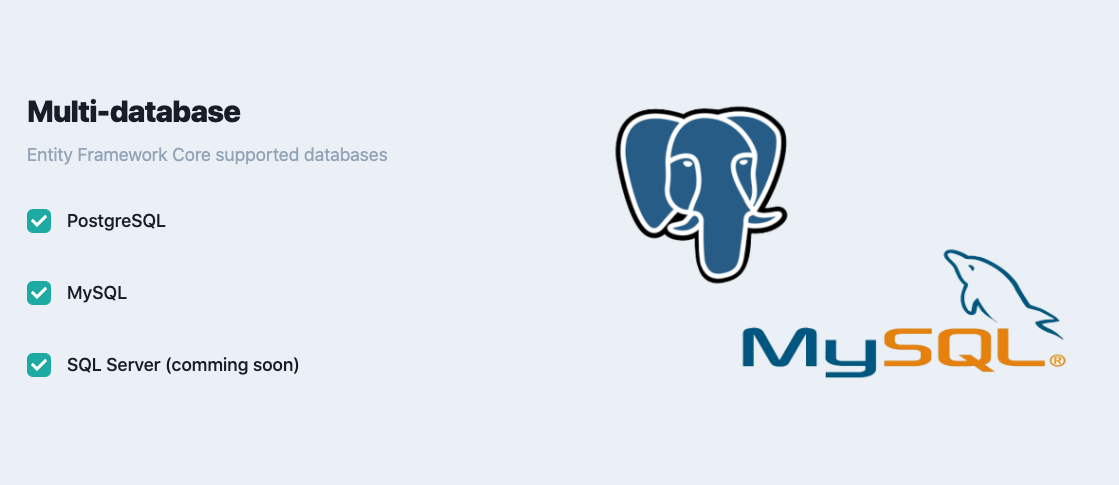 NetcoreSaas gallery image