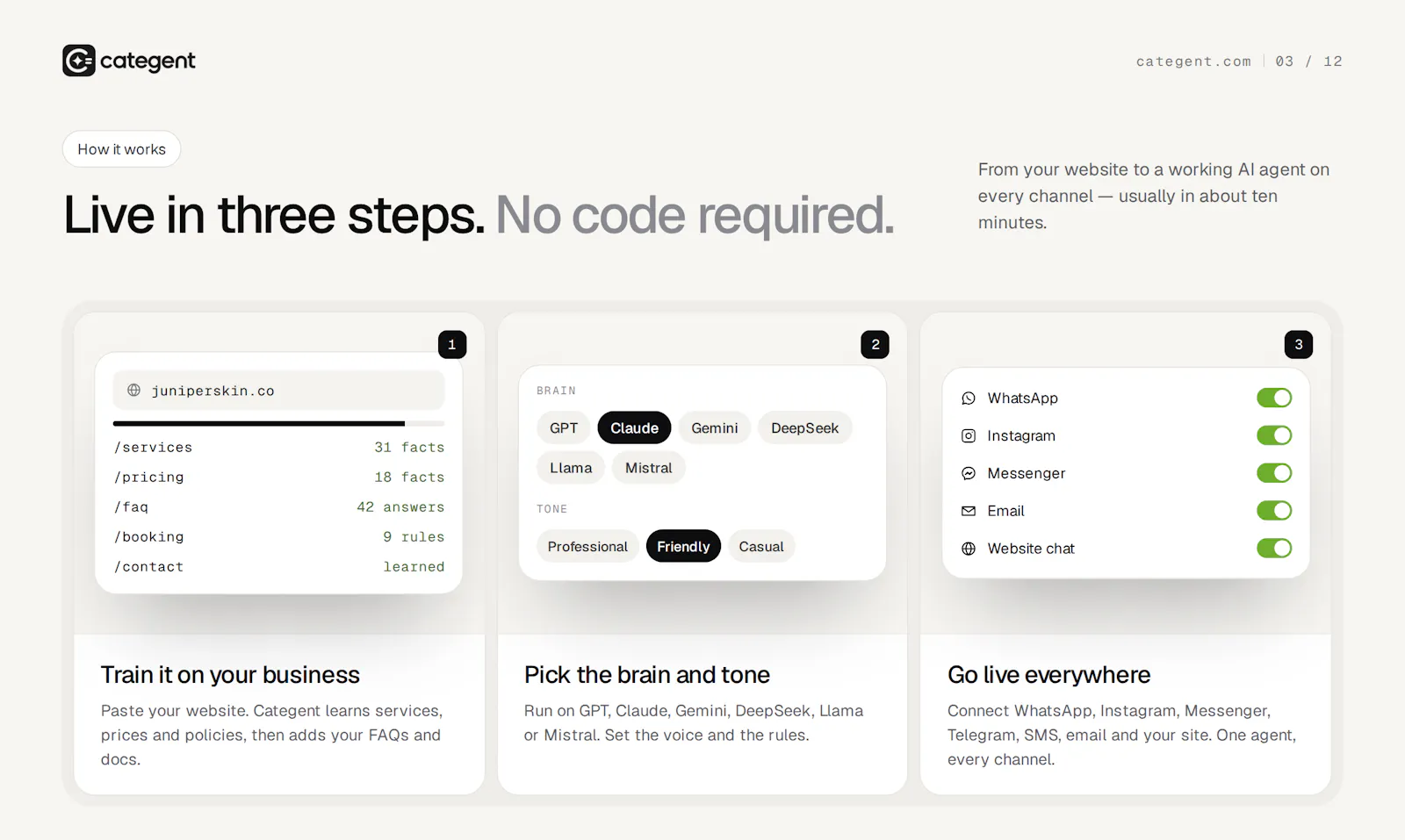 Categent AI screenshot 3