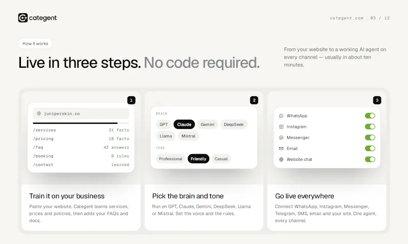 Categent AI screenshot 3