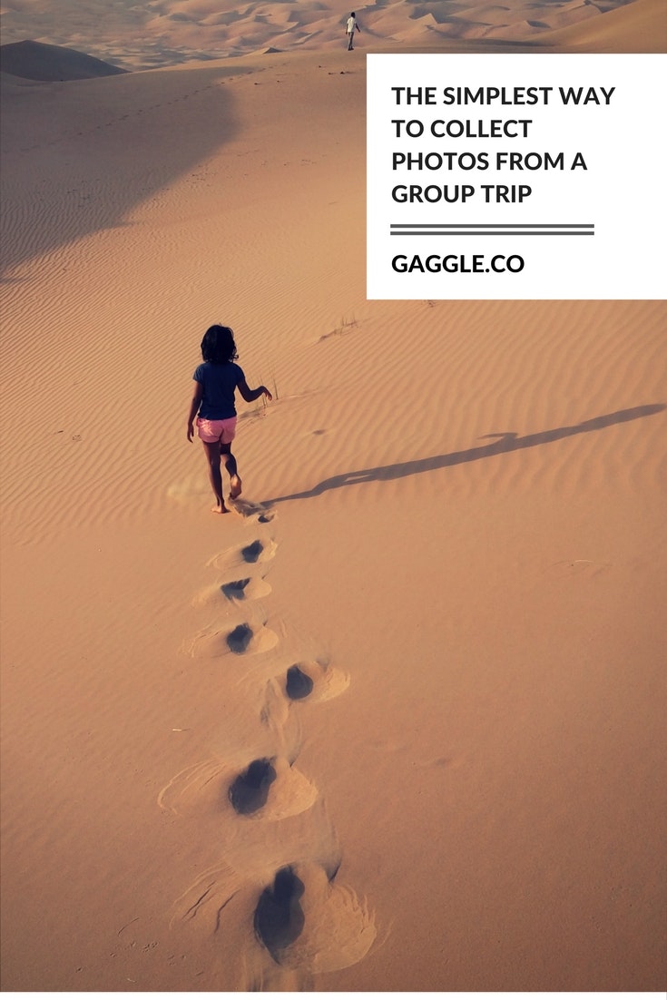 Gaggle gallery image