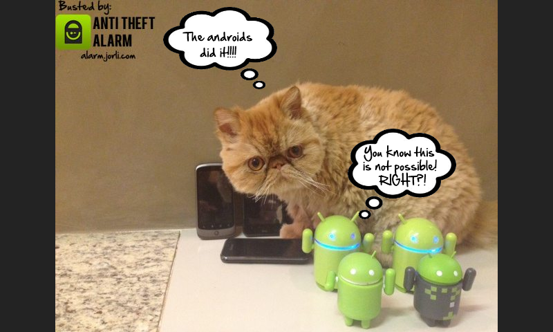 Anti-Theft & Motion Alarm gallery image