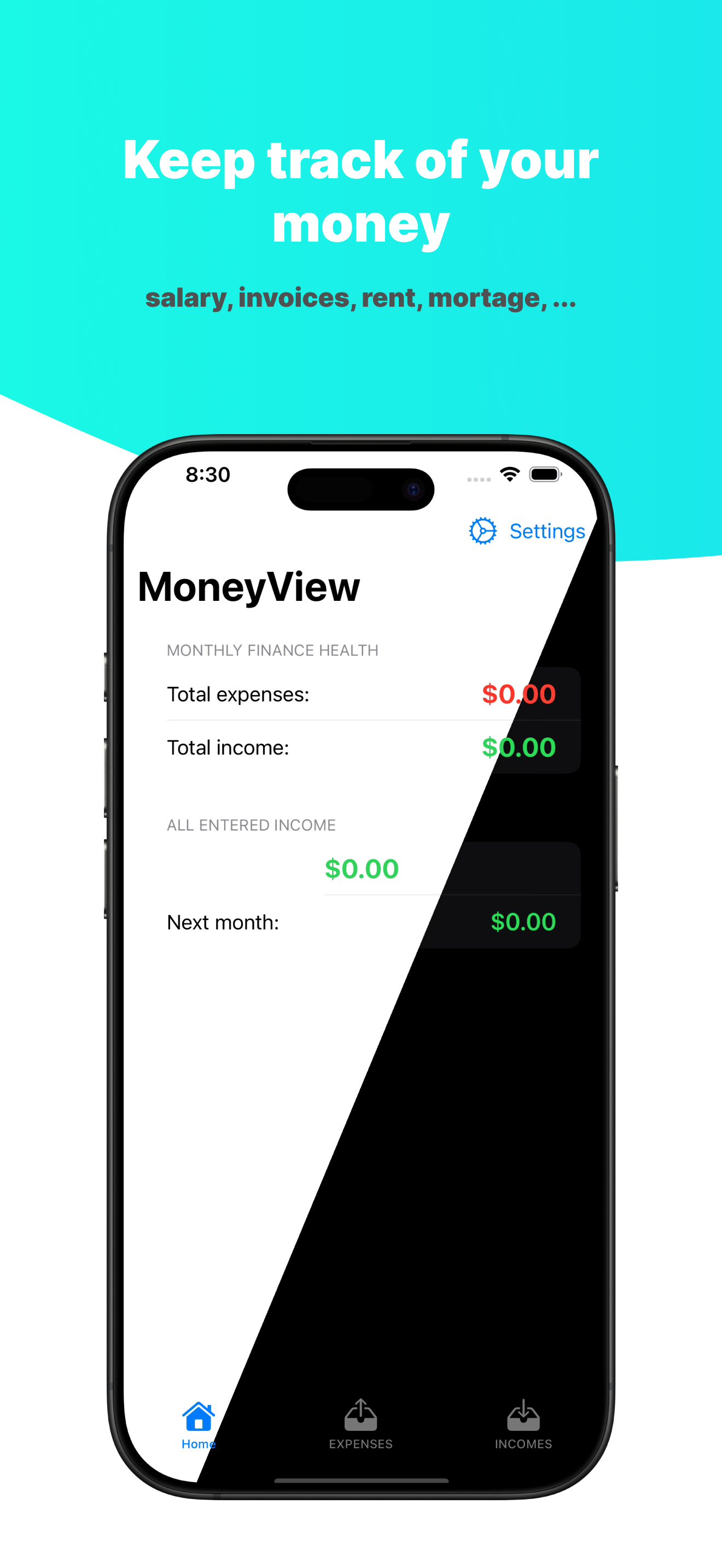MoneyView iOS 앱 - 이 iOS 앱으로 소득과 비용을 추적하십시오. 미디어 2